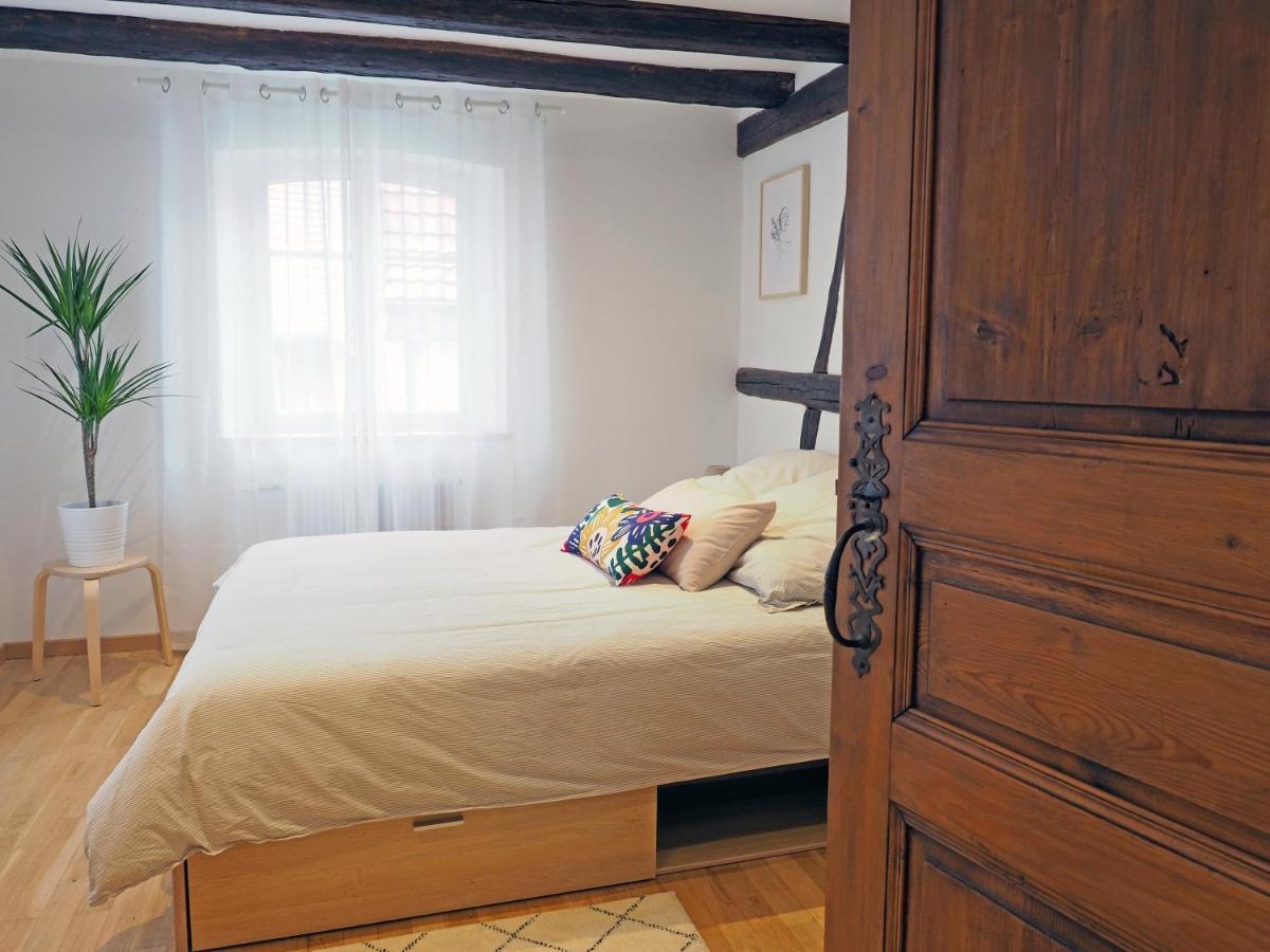 Appartement Le 128, duplex alsacien 10 personnes, piscine à Horbourg-Wihr Extérieur photo