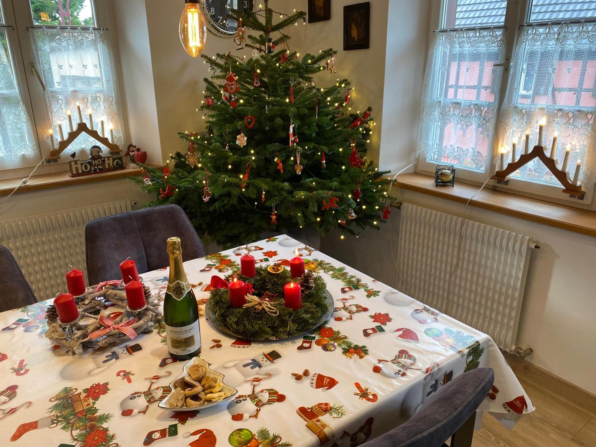 Appartement Le 128, duplex alsacien 10 personnes, piscine à Horbourg-Wihr Extérieur photo