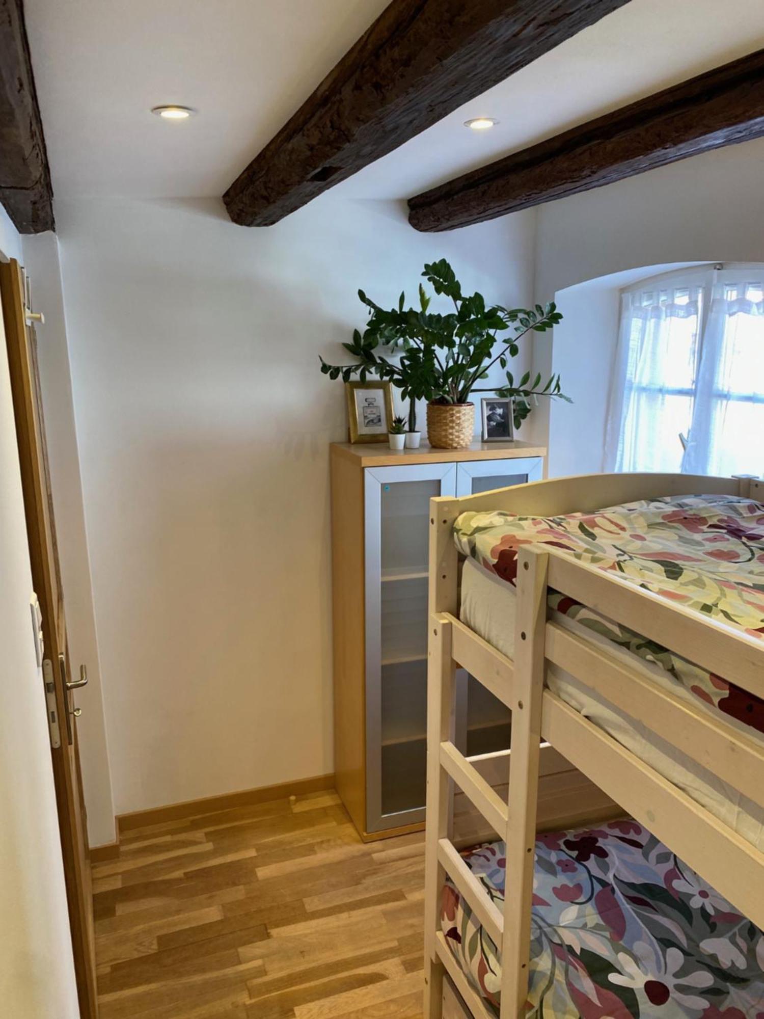 Appartement Le 128, duplex alsacien 10 personnes, piscine à Horbourg-Wihr Extérieur photo