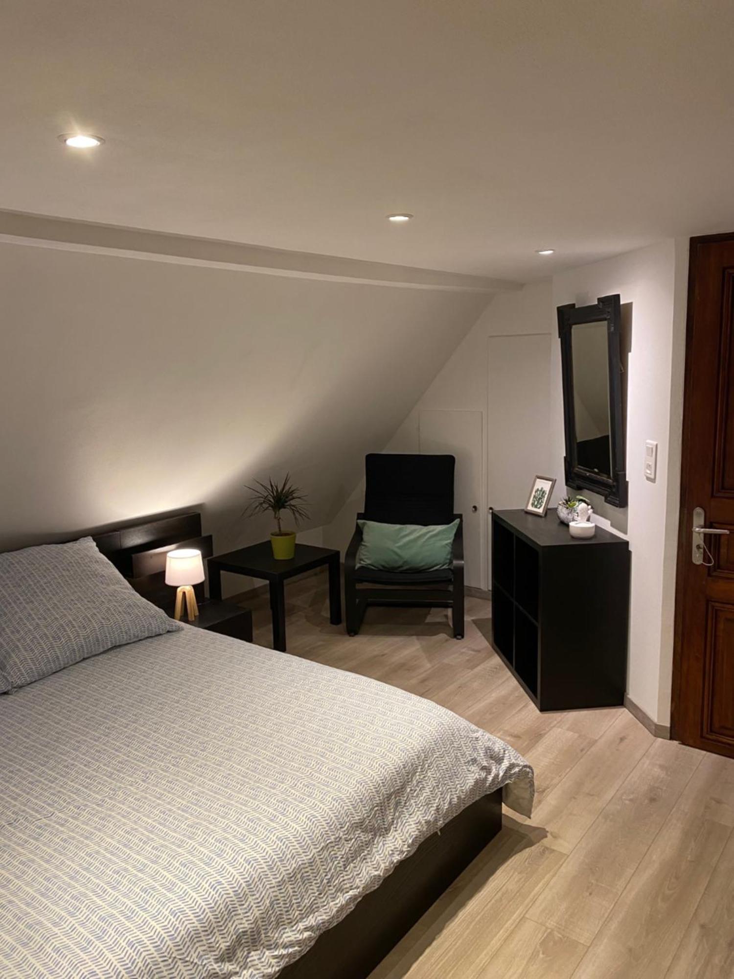 Appartement Le 128, duplex alsacien 10 personnes, piscine à Horbourg-Wihr Extérieur photo